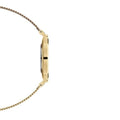 Daniel Wellington Classic Petite Evergold White Dial Gold Mesh Bracelet Watch For Women - DW00100346
