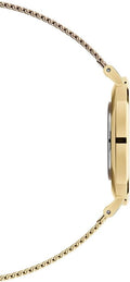 Daniel Wellington Classic Petite Black Dial Gold Mesh Bracelet Watch For Women - DW00100347