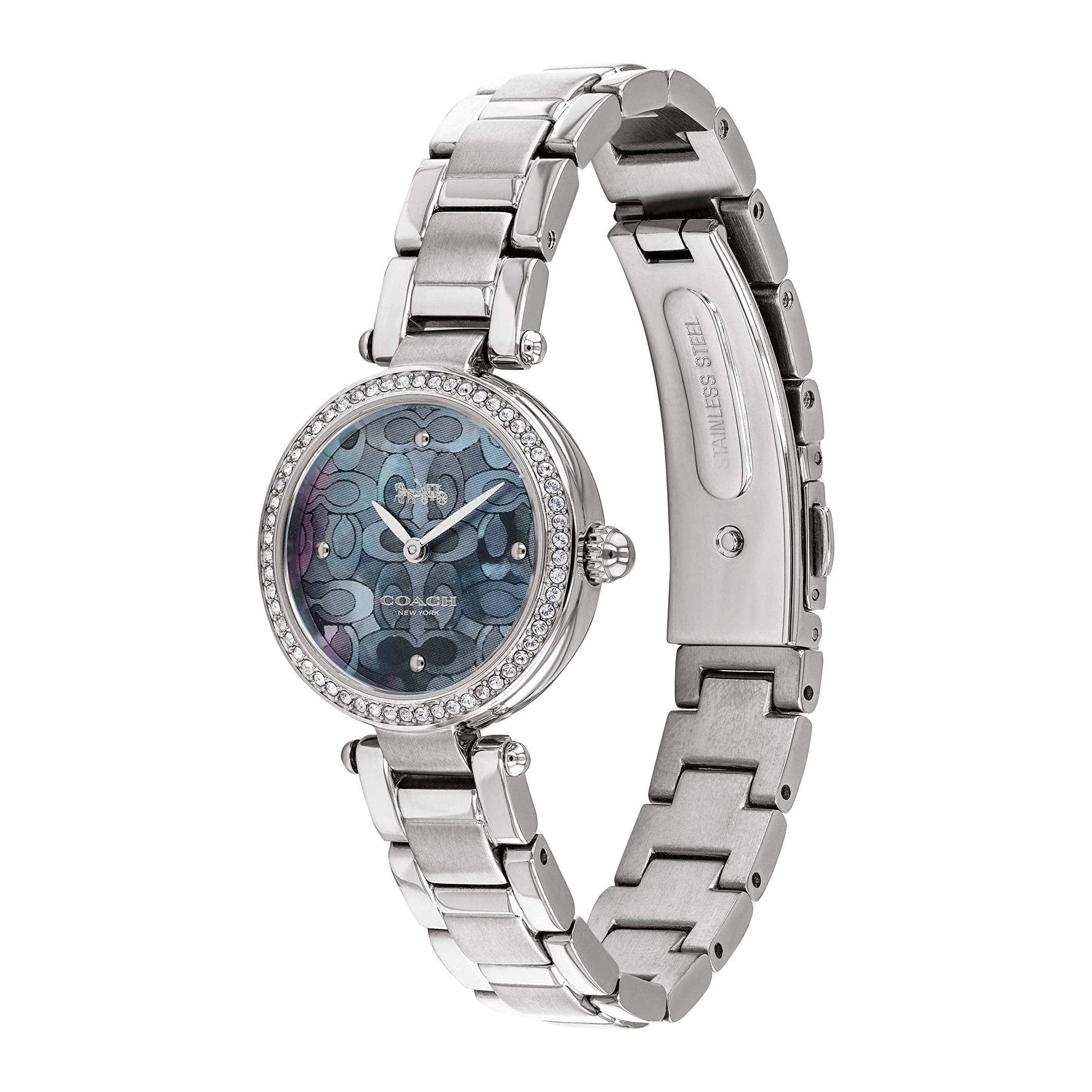 Coach Park Mother of Pearl Blue Dial Silver Steel Strap Watch for Women - 14503224