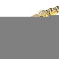 Longines La Grande Classique de Longines Gold Dial Two Tone Steel Strap Watch for Women - L4.209.2.31.7