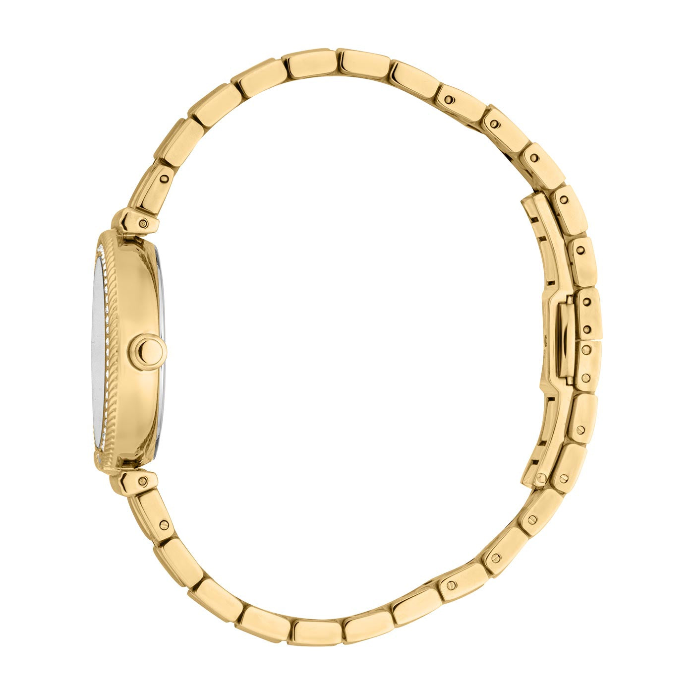 Just Cavalli Chiarezza Snake Core Silver Dial Gold Steel Strap Watch for Women - RC5L078M0025