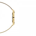 Daniel Wellington Classic Petite Evergold Black Dial Gold Mesh Bracelet Watch For Women - DW00100349