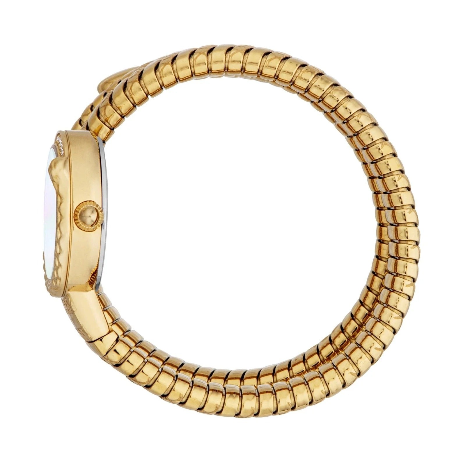Just Cavalli Enchanting Mother of Pearl Dial Gold Steel Strap Watch for Women - JC1L302M0025