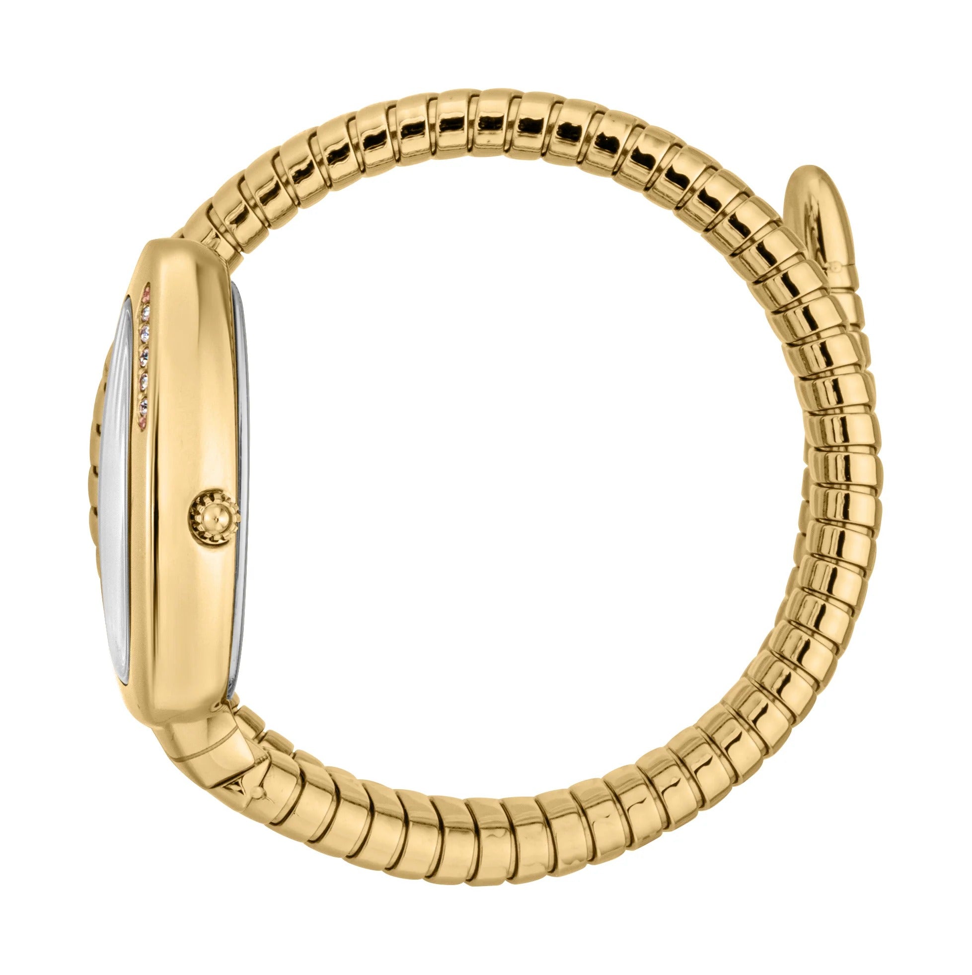 Just Cavalli Glam Evo 5 Silver Dial Gold Steel Strap Watch for Women - JC1L227M0035